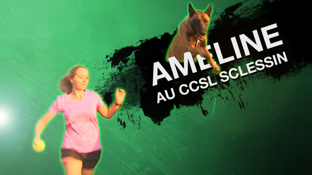 RTC fait son sport #7 - Agility