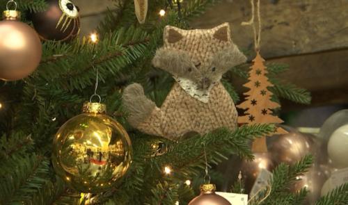 Les sapins de Noël sont déjà là !