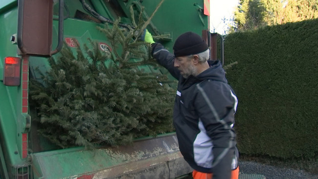 Adieu mon beau sapin !
