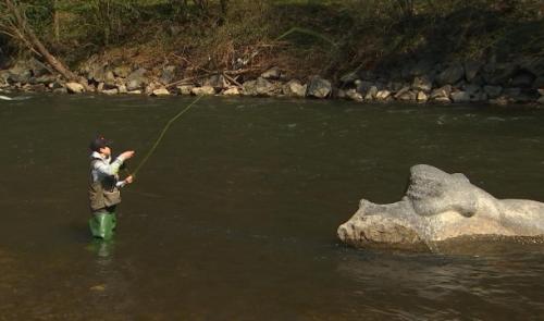 Stage de pêche à Combain-au-Pont
