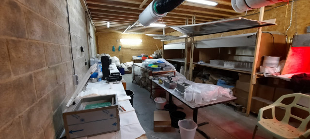 Trafic de drogue: 27 personnes arrêtées, une organisation liégeoise démantelée