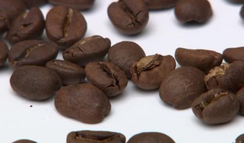 Un café cultivé et torréfié à Liège