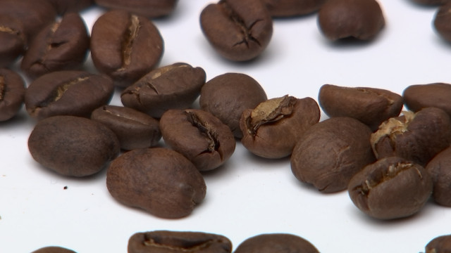 Un café cultivé et torréfié à Liège