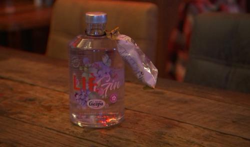 Un Gin à la violette Gicopa !