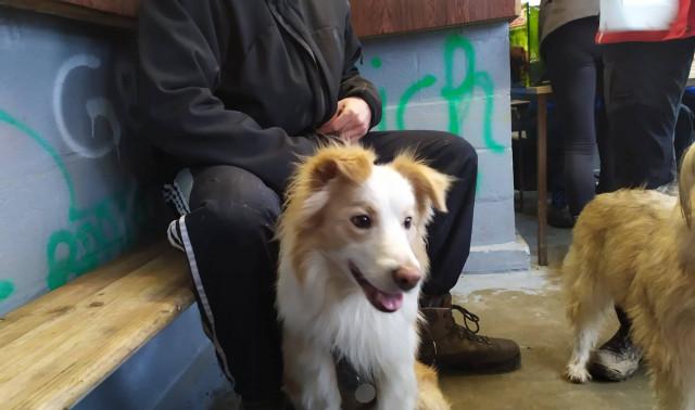 Une course qui a du chien pour la Saint-Valentin