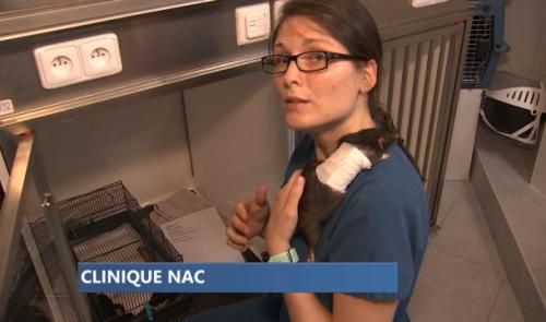 Une nouvelle clinique pour les N.A.C. à Liège !
