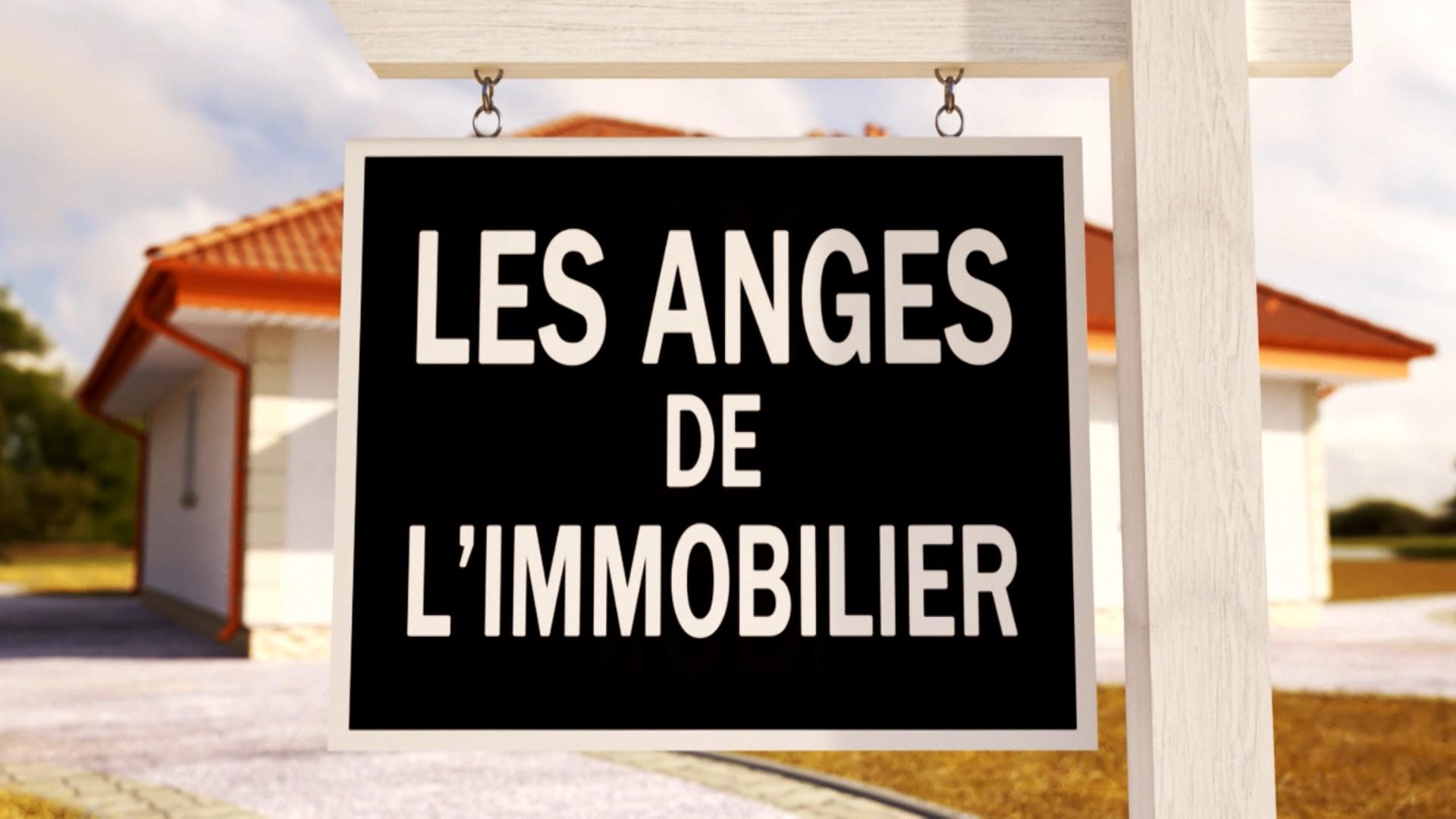 Les anges de l'immobilier