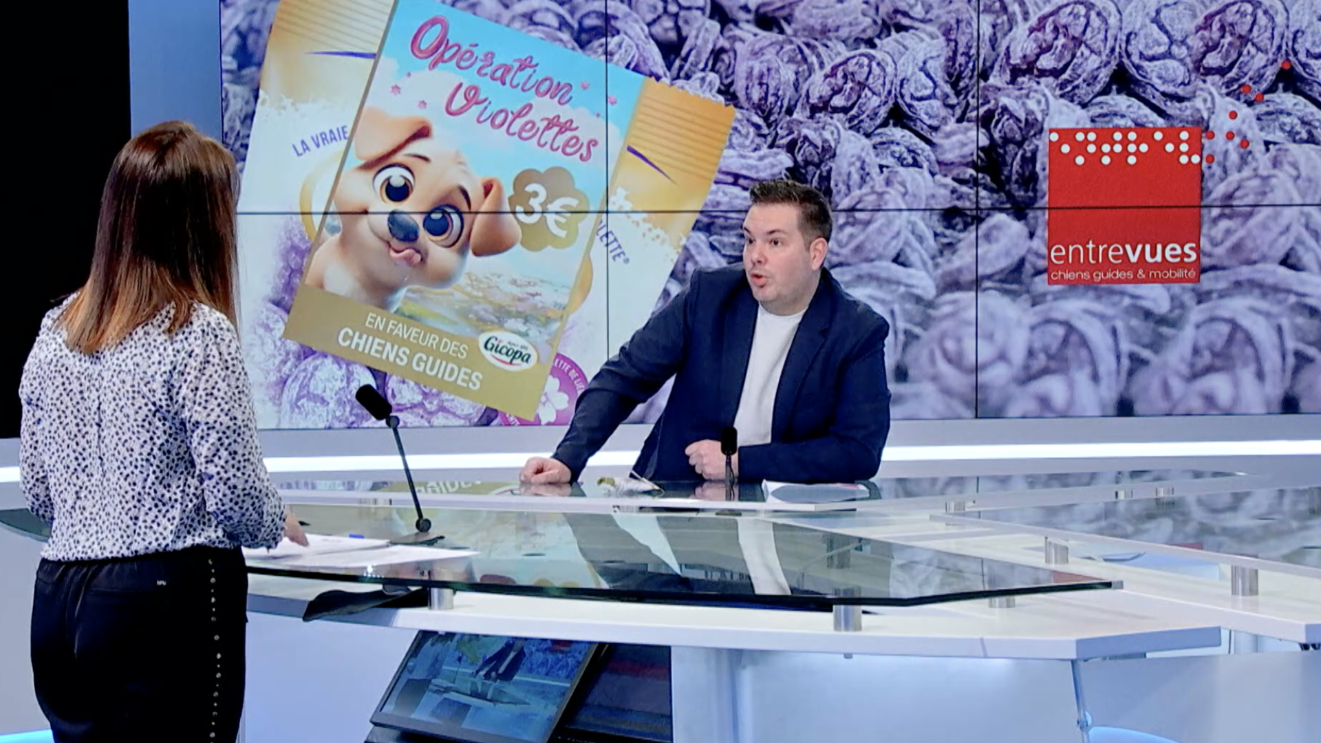 Invité: Entrevues pour l'opération violettes