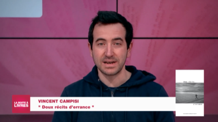 La Boîte à livres : Vincent Campisi, Deux récits d'errance