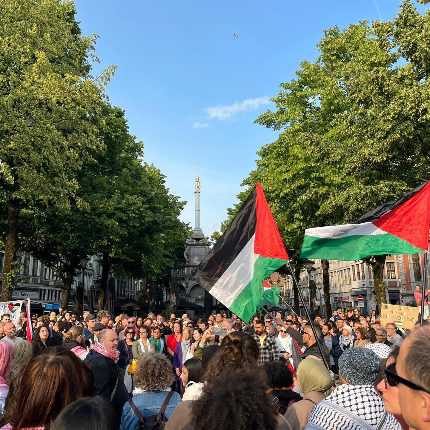 Des centaines de personnes rassemblées face au Perron en faveur de la Palestine