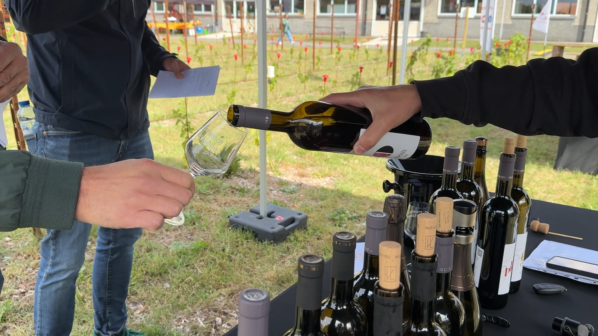Le vin liégeois de plus en plus sur nos tables