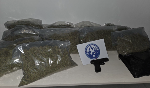 Tilleur : 2 interpellations et 200 plants de cannabis saisis