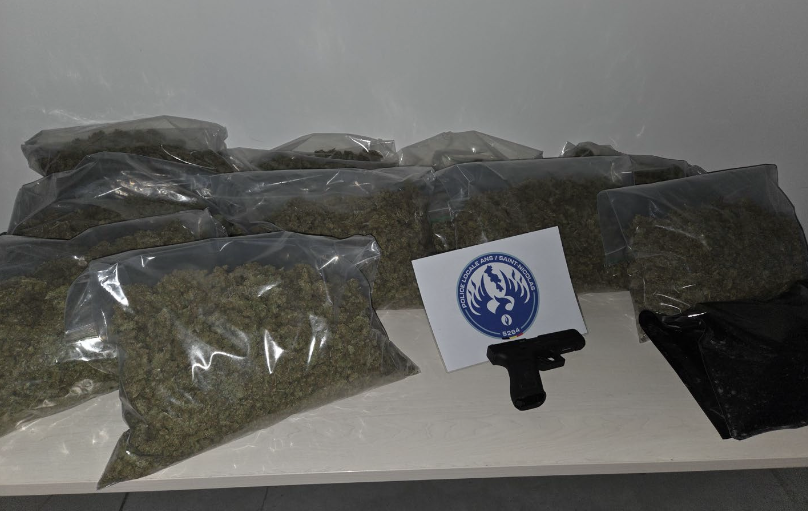 Tilleur : 2 interpellations et 200 plants de cannabis saisis