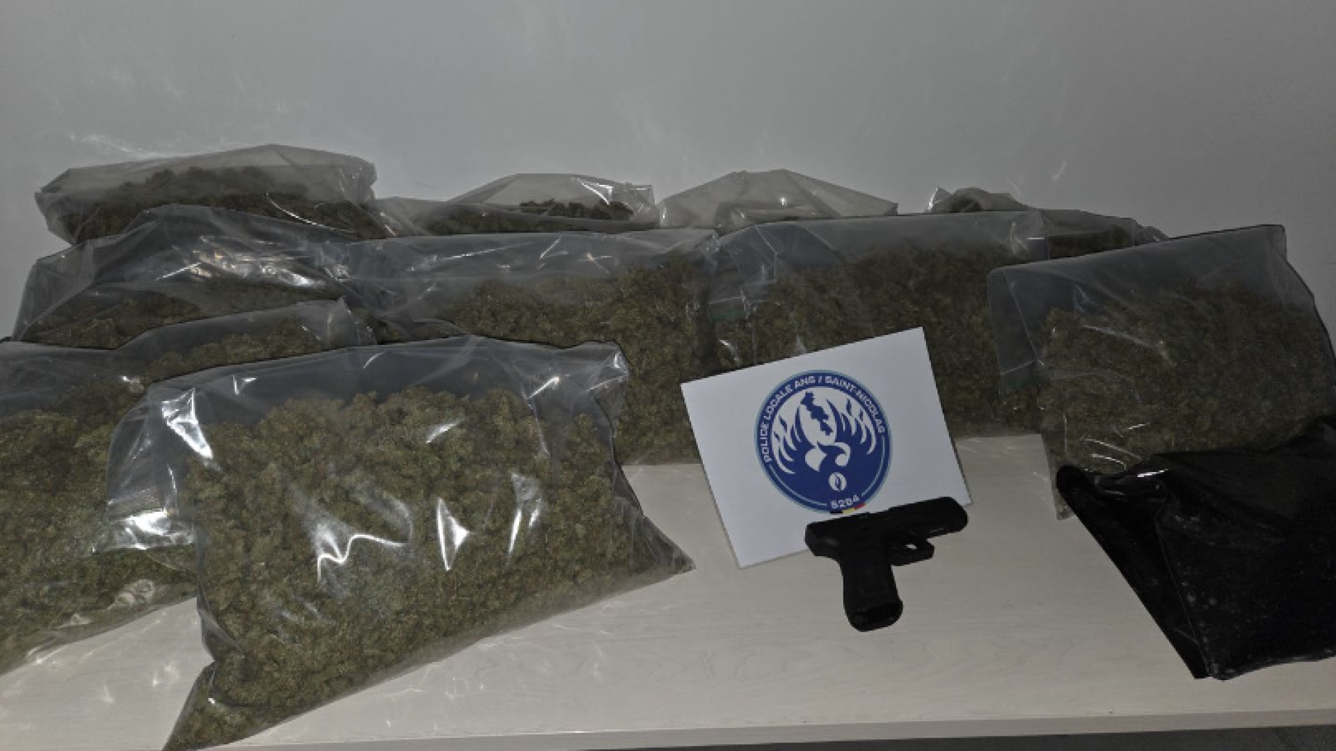Tilleur : 2 interpellations et 200 plants de cannabis saisis