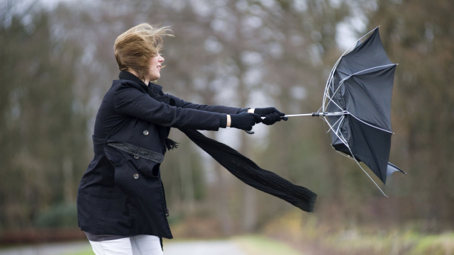 Fortes rafales de vent attendues ce jeudi. Les communes prennent des mesures