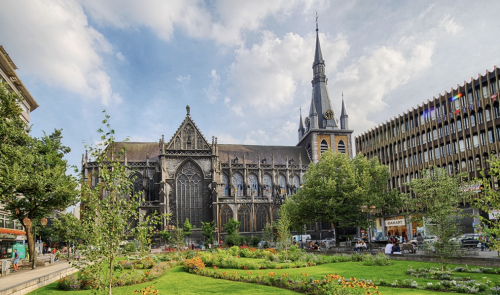 Cathédrale Saint-Paul : un chantier d’envergure pour un lieu emblématique