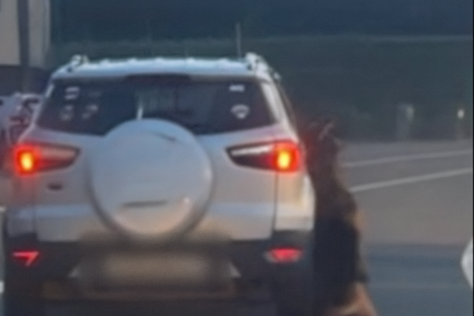 Chien traîné par une voiture : l'affaire est classée sans suite