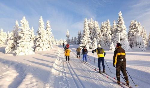 Neige : ski alpin, ski de fond, luge... les pistes sont ouvertes !