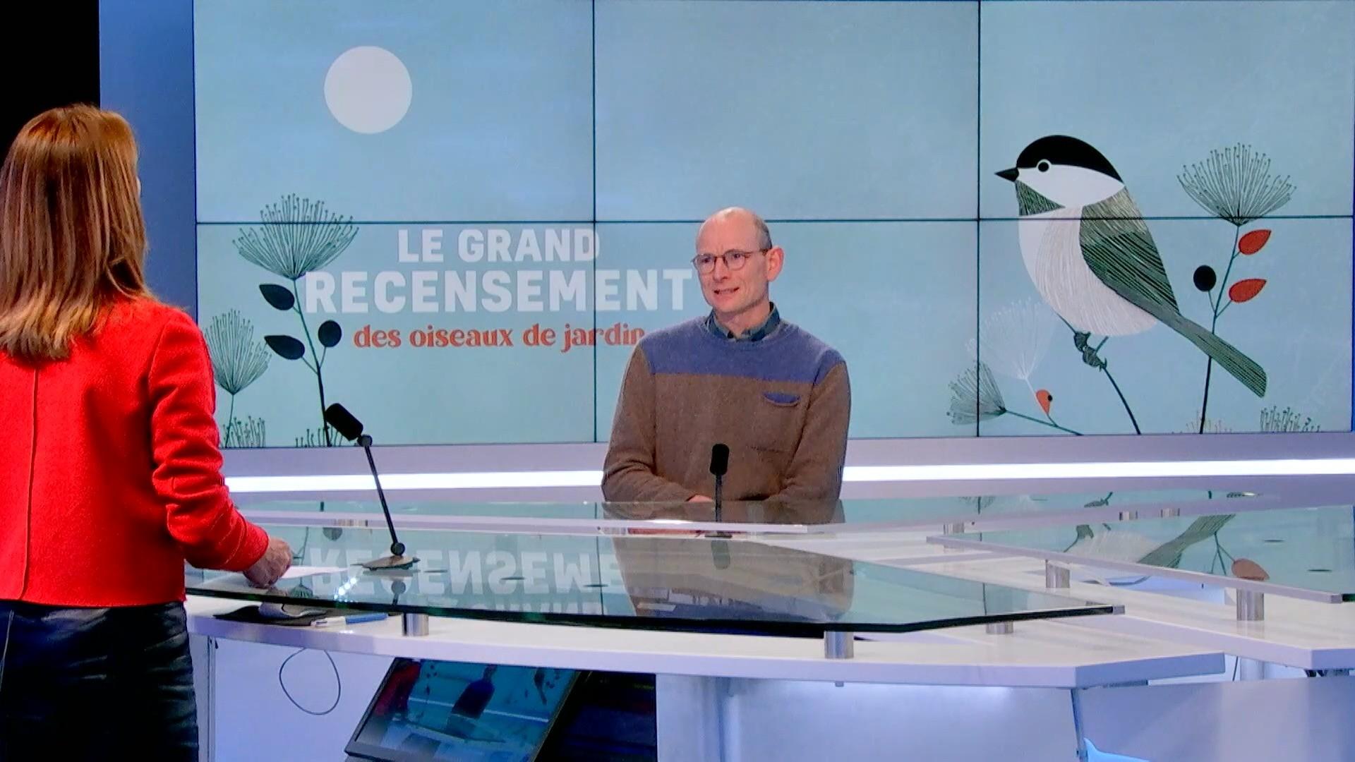 Comptez les oiseaux dans votre jardin avec Natagora