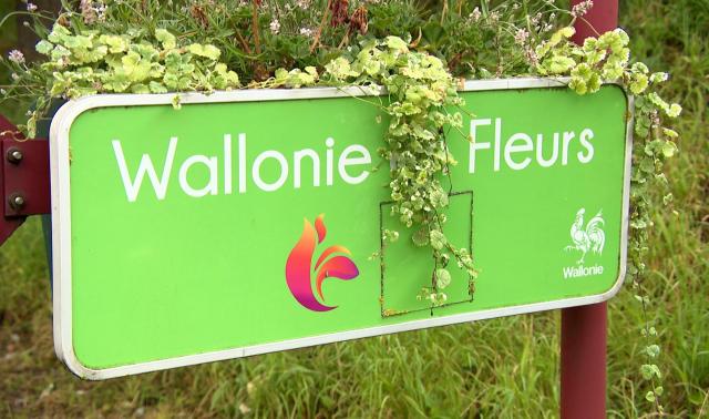 Label Wallonie en Fleurs 2025 : 4 communes liégeoises récompensées