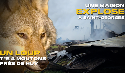 Les actus de la semaine en province de Liège