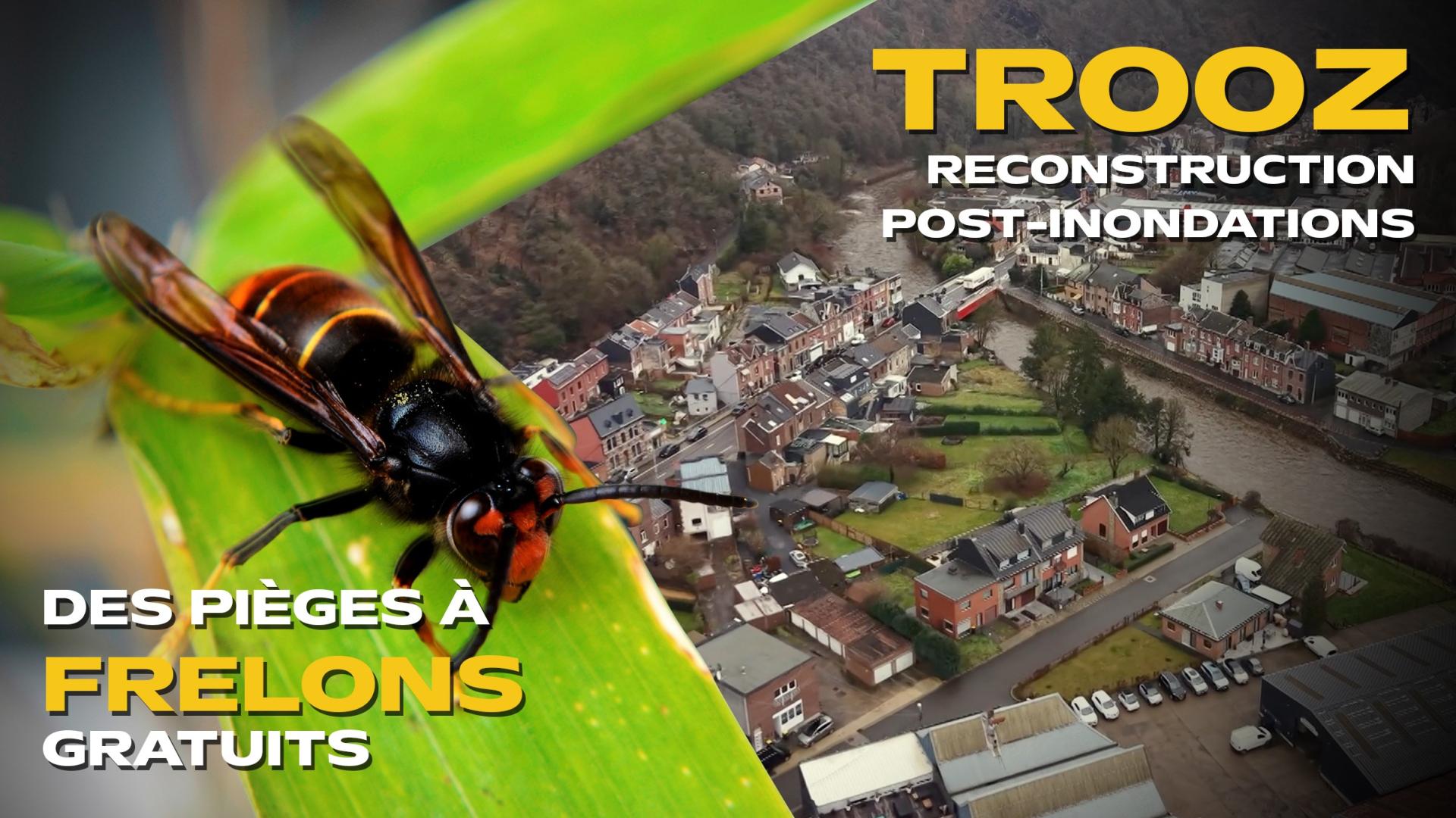 Les actus de la semaine en province de Liège