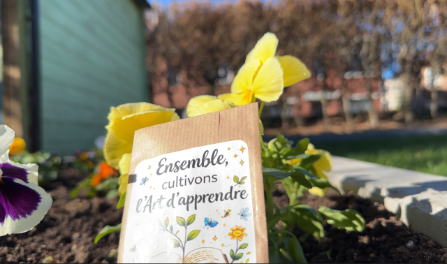 Nouvelle pédagogie à l'école communale de Lonchamps