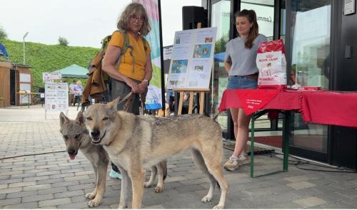 Grand succès pour la 2e édition du Dog Day de Crisnée