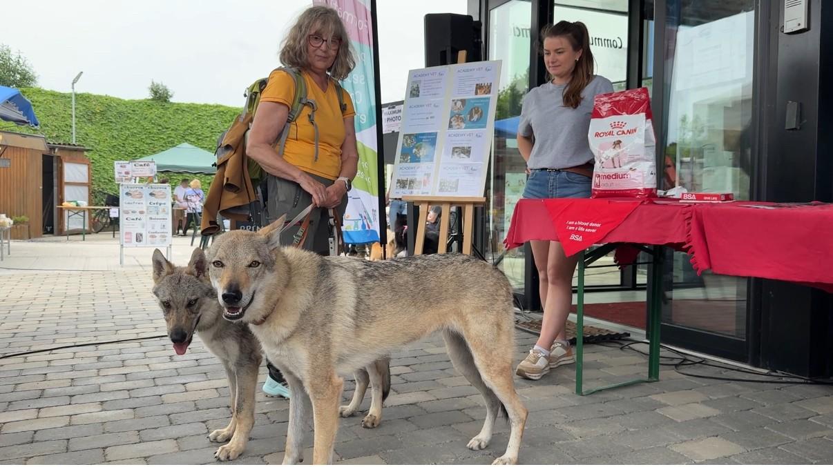 Grand succès pour la 2e édition du Dog Day de Crisnée