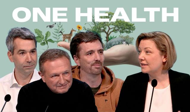 One Health : quand la santé humaine dépend aussi des animaux… et de la planète