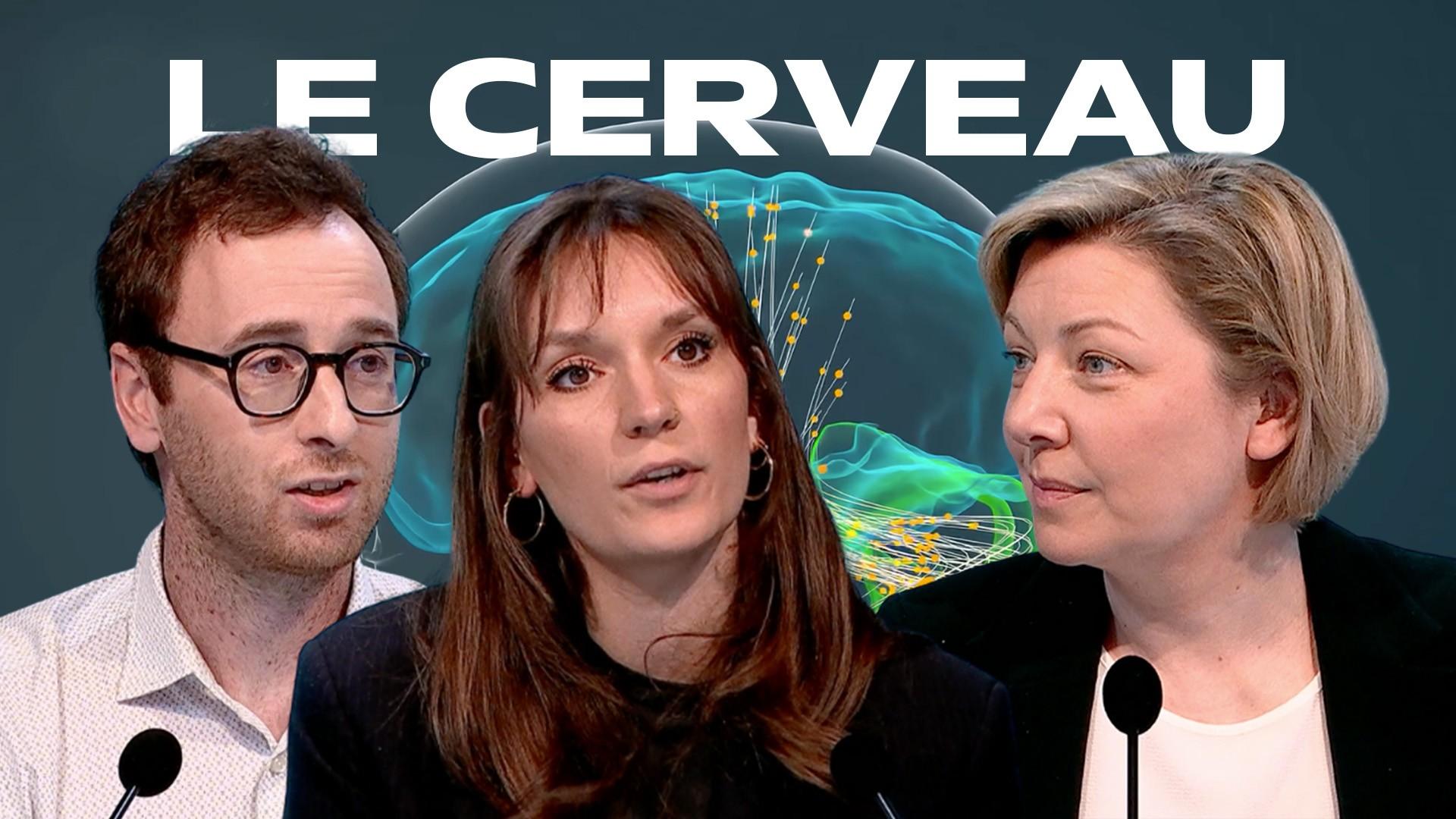 Dans les secrets du cerveau humain