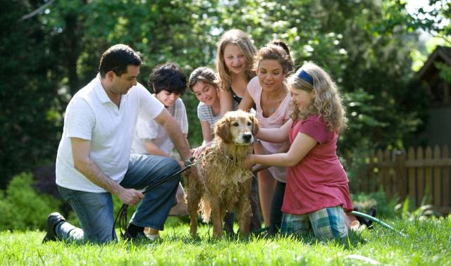 Les noms de familles les plus présents en Belgique et dans notre province
