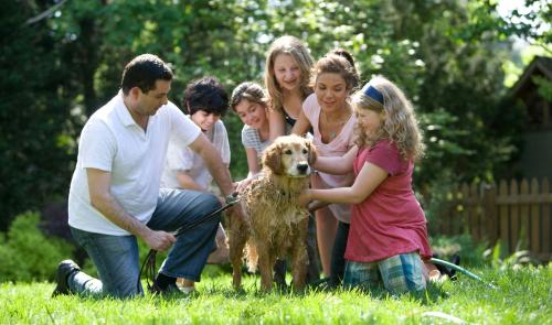 Les noms de familles les plus présents en Belgique et dans notre province