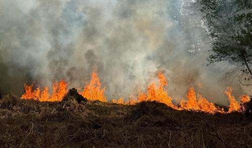Province : interdiction de feux, barbecues et feux d'artifices