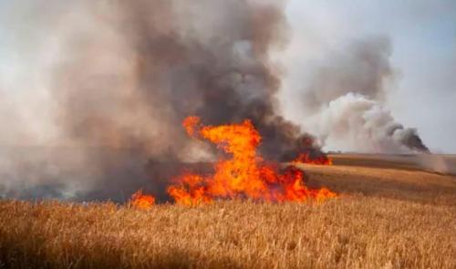Crisnée : incendie dans les campagnes