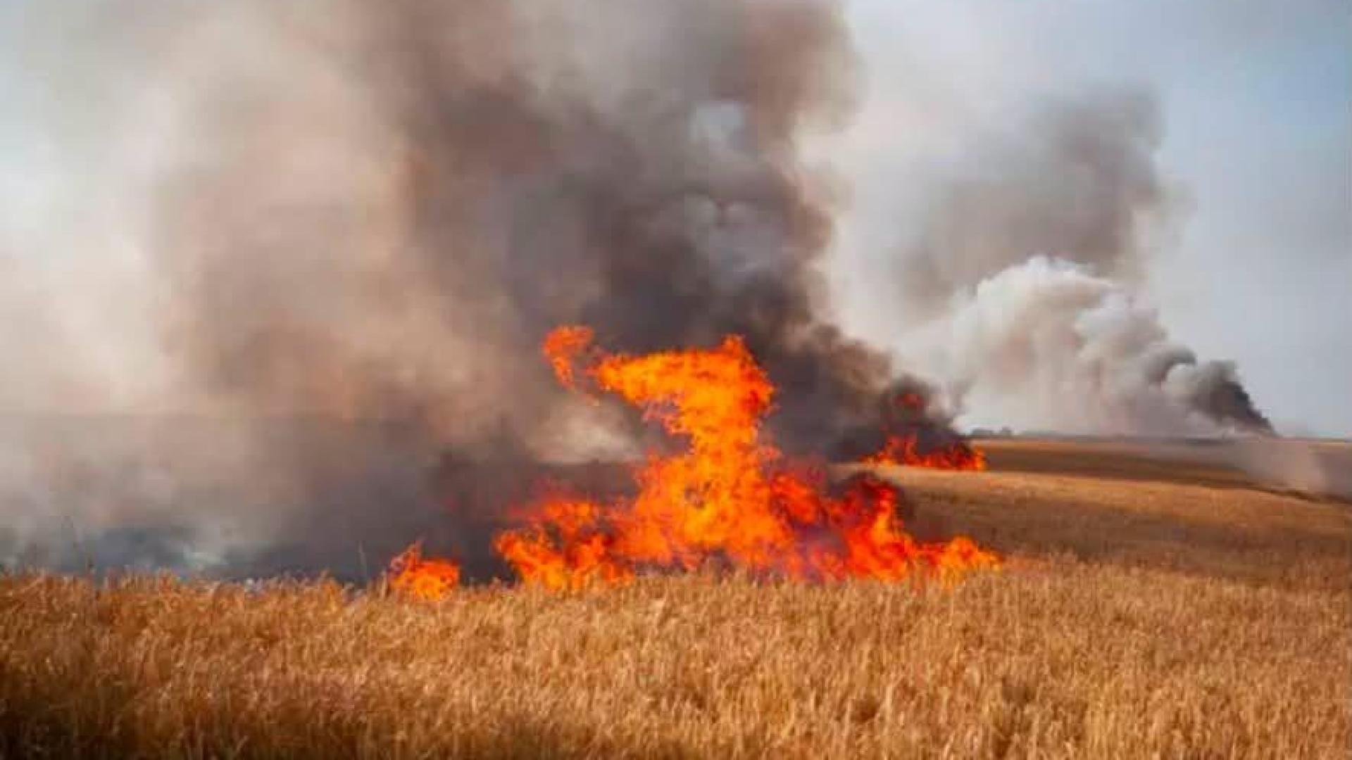 Crisnée : incendie dans les campagnes