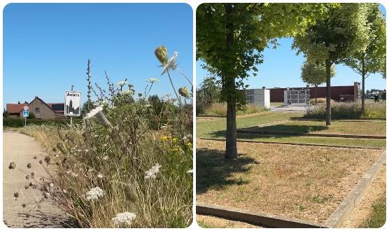 Comment les communes repensent les espaces verts face au changement climatique