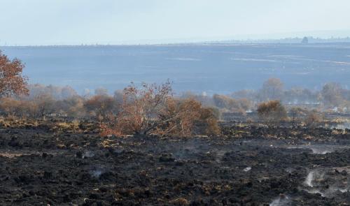 Fagnes : le point en début de journée ce jeudi 20 août