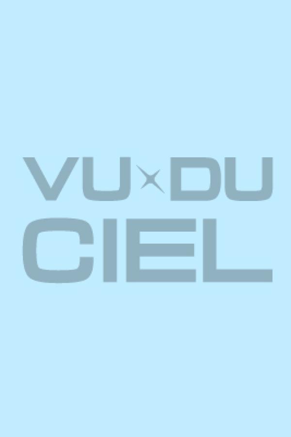 Vu du Ciel
