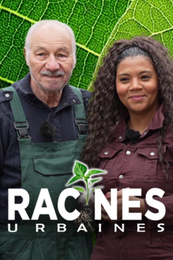 Racines urbaines