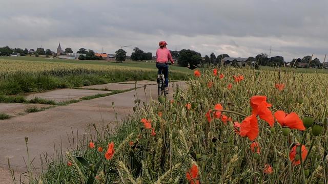 Ça Roule Eté - Donceel - 28km