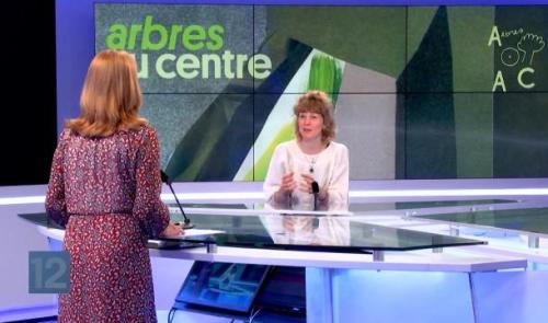 "Arbres au centre" un projet collectif et poétique au coeur de Liège 