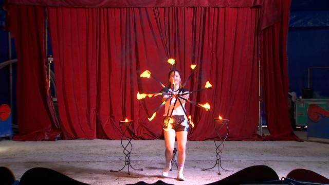 "Dancing with horses", la rencontre du cirque et du sport équestre