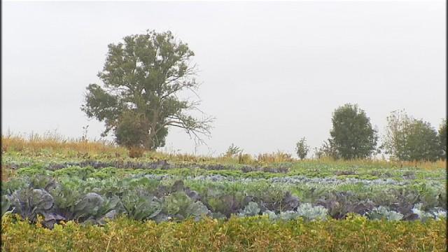 "Restaurons la terre": un projet des Compagnons de la terre et de l'ONG Autre terre