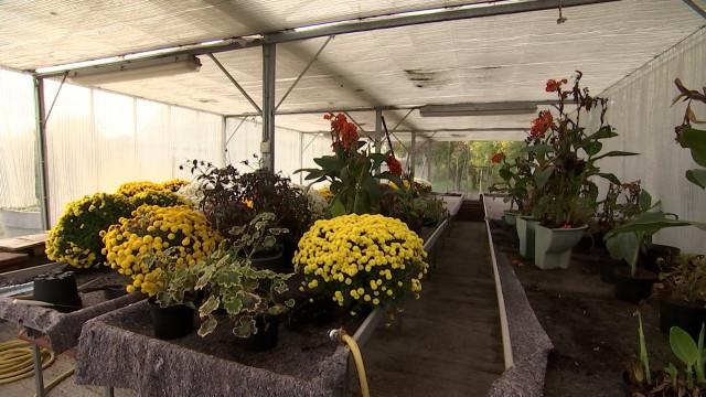 "Wallonie en fleurs" : la biodiversité, une priorité pour Visé, Waremme, Crisnée, Neupré et Oreye