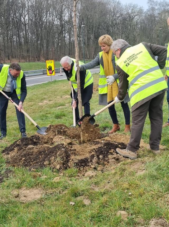 100.000 arbres le long des routes wallonnes 
