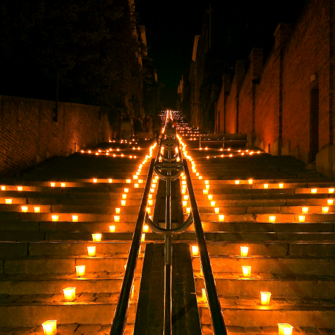 La Nocturne des coteaux de la Citadelle à Liège