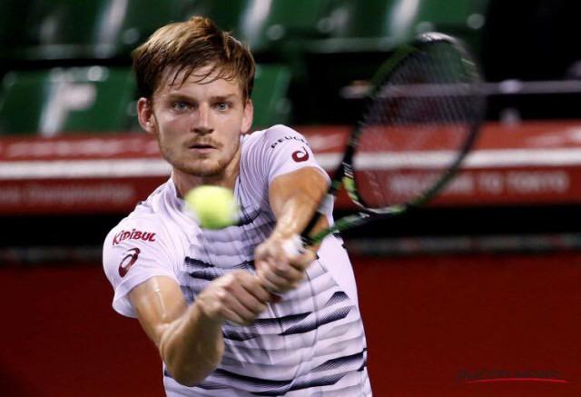 Goffin battu en finale à Tokyo