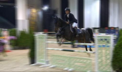 Bientôt le jumping international de Liège 