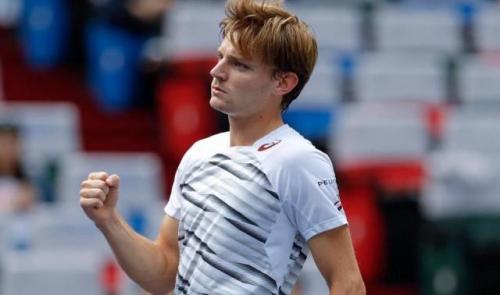 Signe indien vaincu pour David Goffin, qualifié en battant Monfils